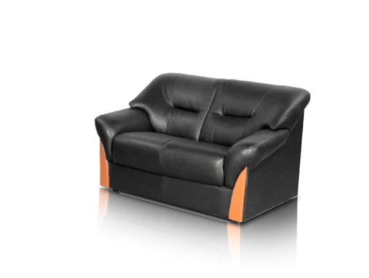 Finss Furniture I Leatherette I 2 Seater Sofa - (Finish Colour - Black)